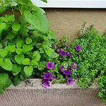 Tiroler Auszeit & Whirlpool Apartmán *