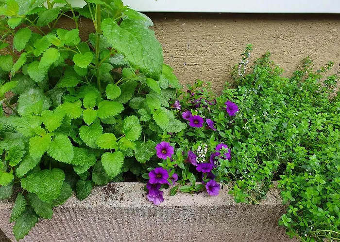 Tiroler Auszeit & Whirlpool Apartment *