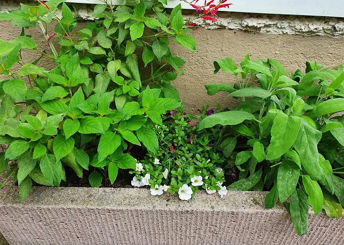 Tiroler Auszeit & Whirlpool *