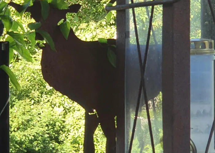 Apartment Tiroler Auszeit & Whirlpool